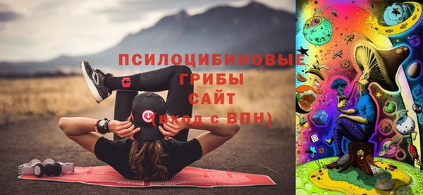 дживик Алексин
