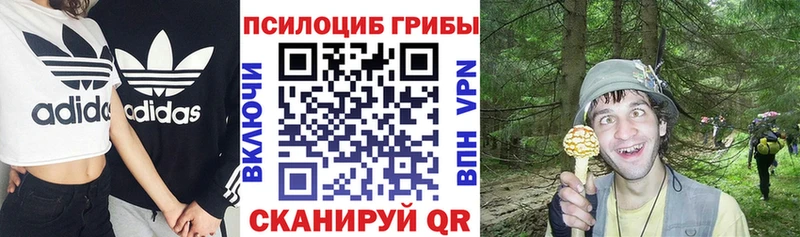 Псилоцибиновые грибы Magic Shrooms  blacksprut маркетплейс  Карабулак 