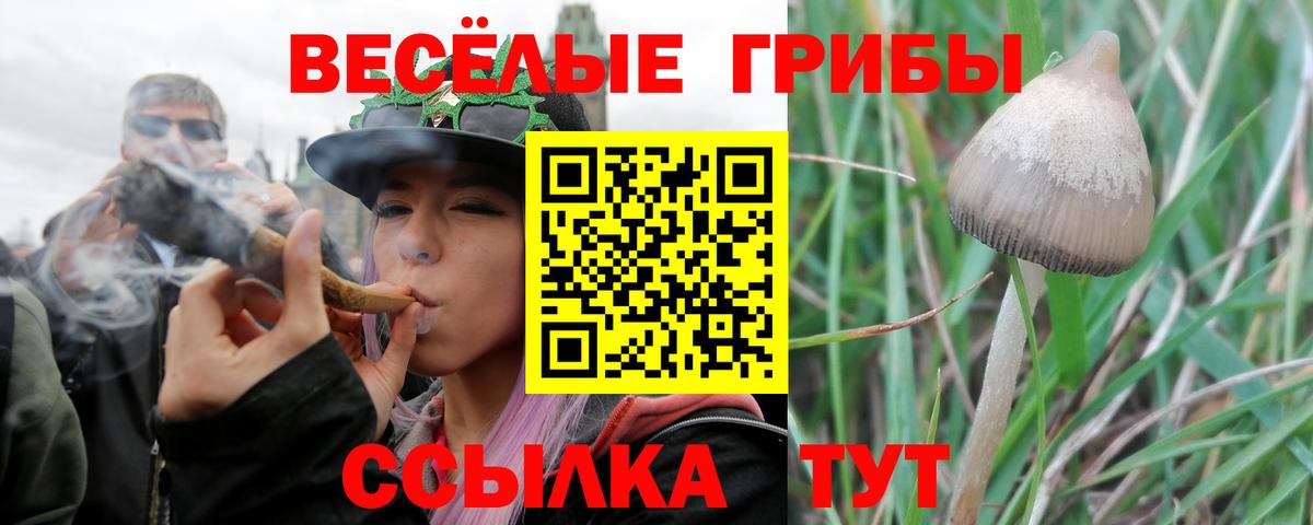 Псилоцибиновые грибы Magic Shrooms  Вход с VPN  Карабулак 